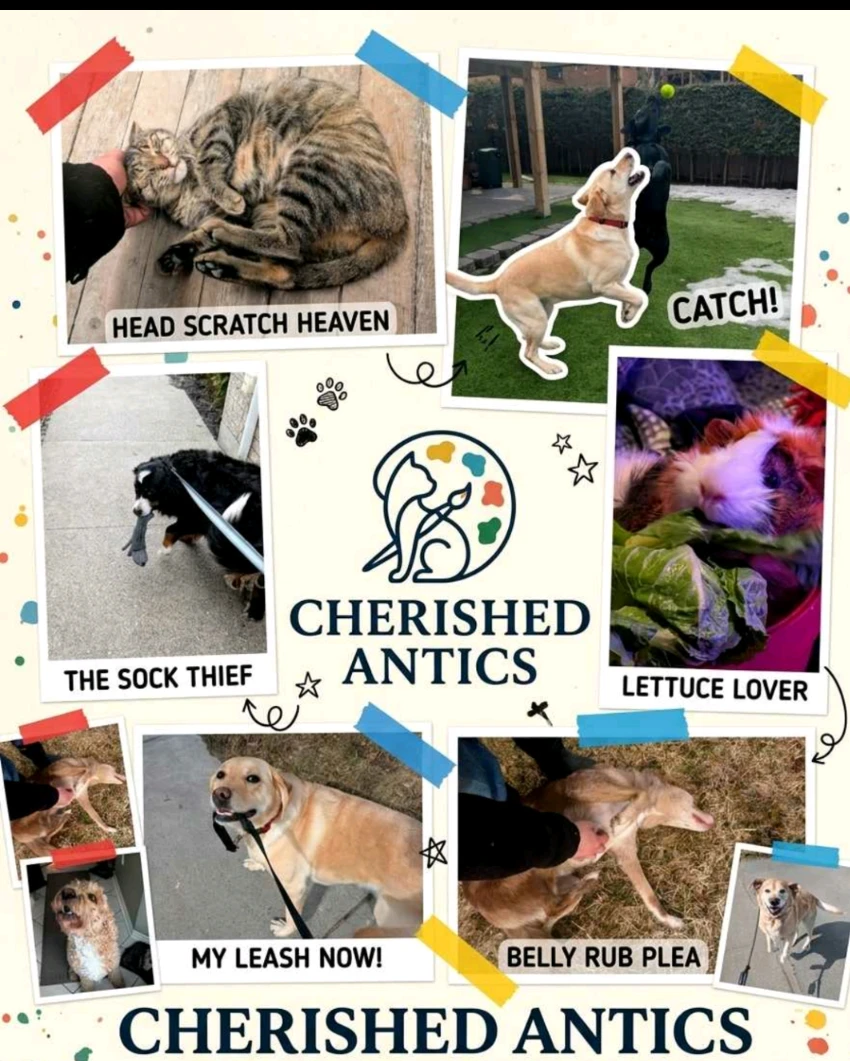 Cherished Antics: Dog Walking, Pet/House Sitting, Poop scooping