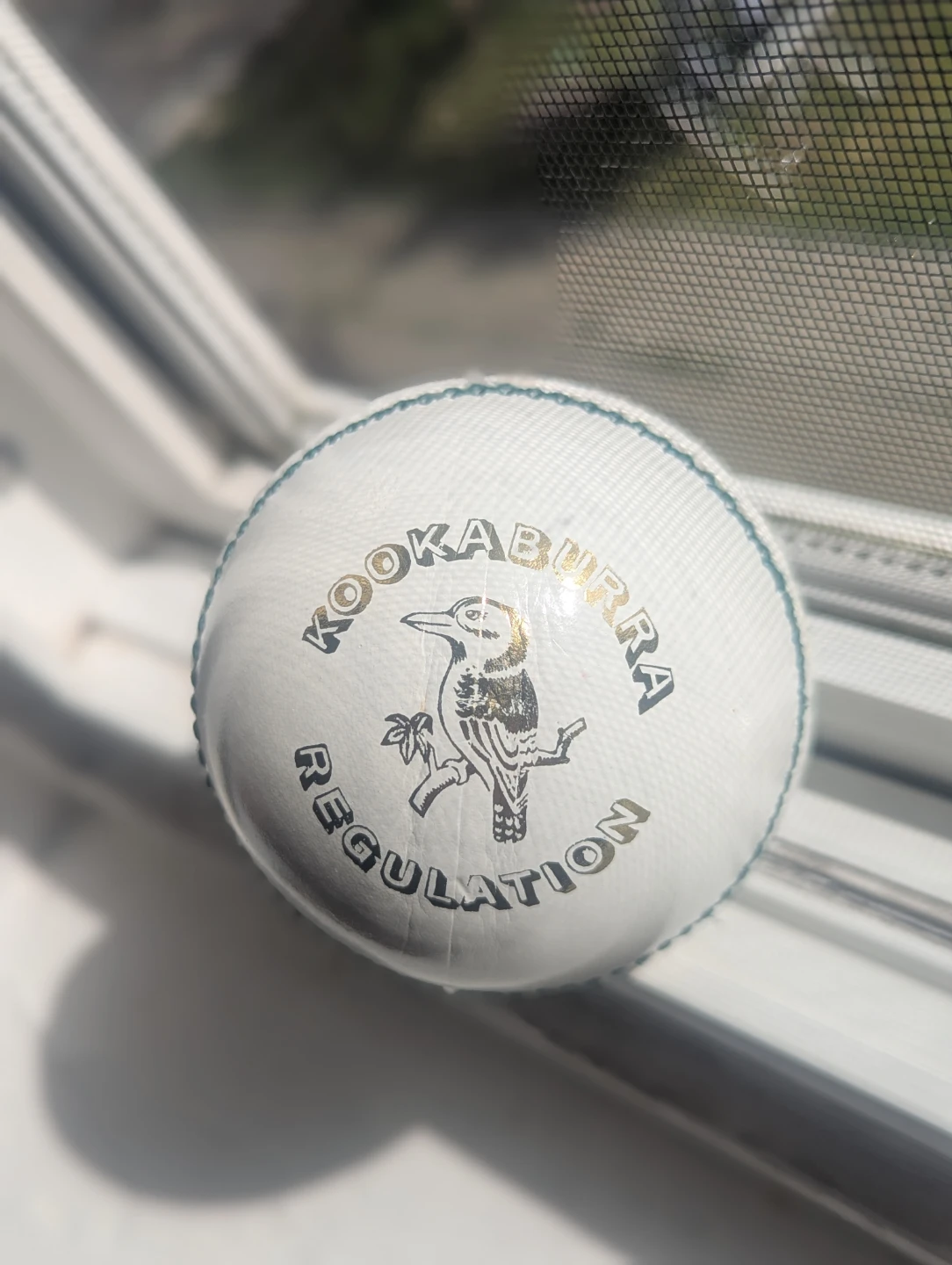 Kookaburra Regulation Cricket Ball