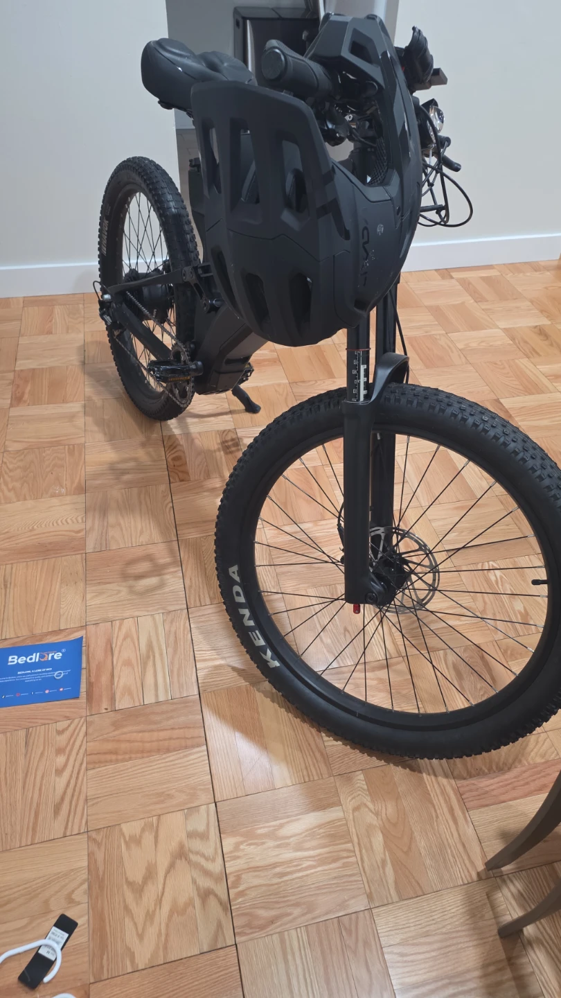 Nireeka Electric Mountain Bike - photo 3