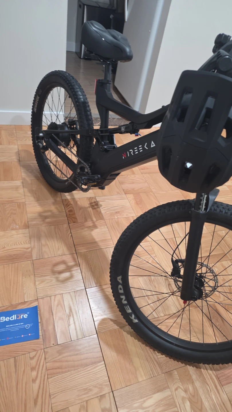 Nireeka Electric Mountain Bike - photo 4