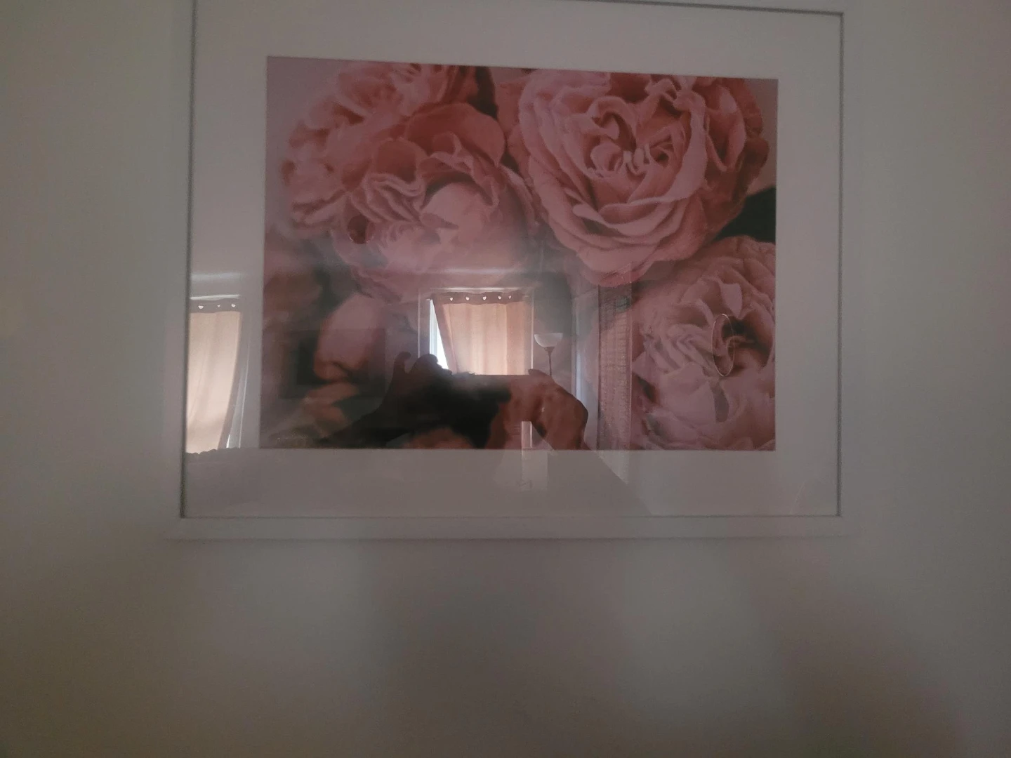 Framed Pink Rose Wall Art