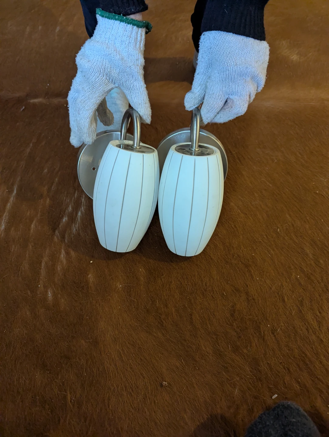 Pair of White Sconce Lights
