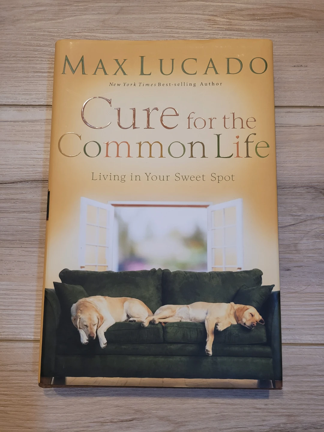 Cure for the Common Life by Max Lucado Book