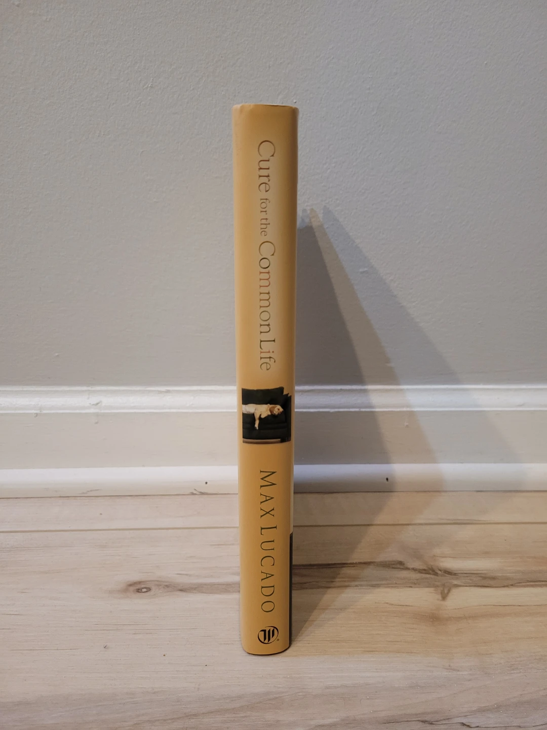 Cure for the Common Life by Max Lucado Book - photo 4