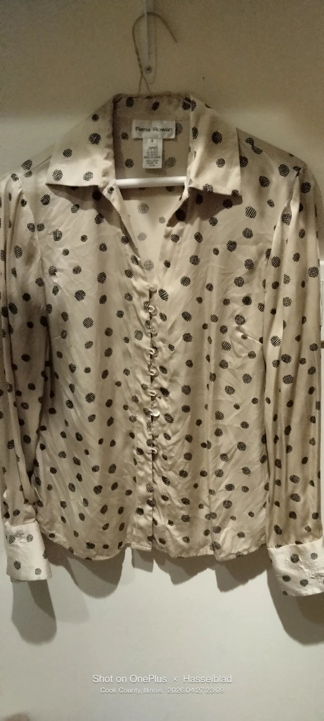 Rena Rowan Silk Button-Up Blouse Size 4