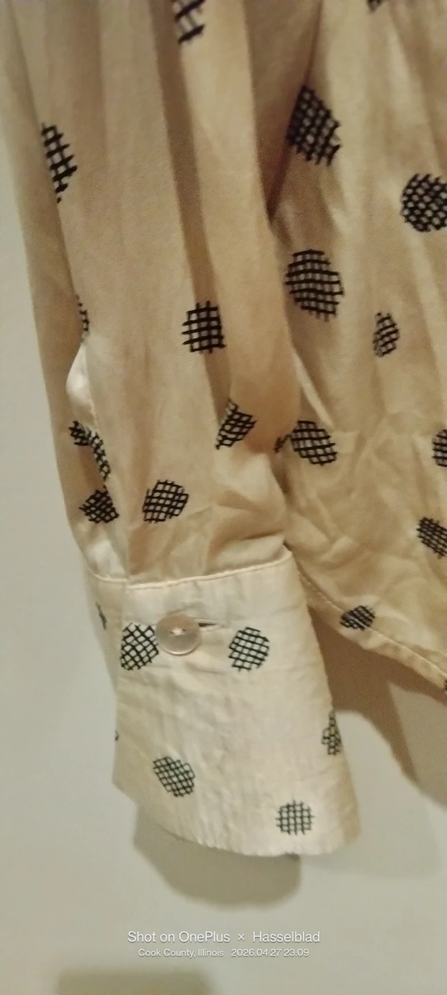 Rena Rowan Silk Button-Up Blouse Size 4 - photo 4