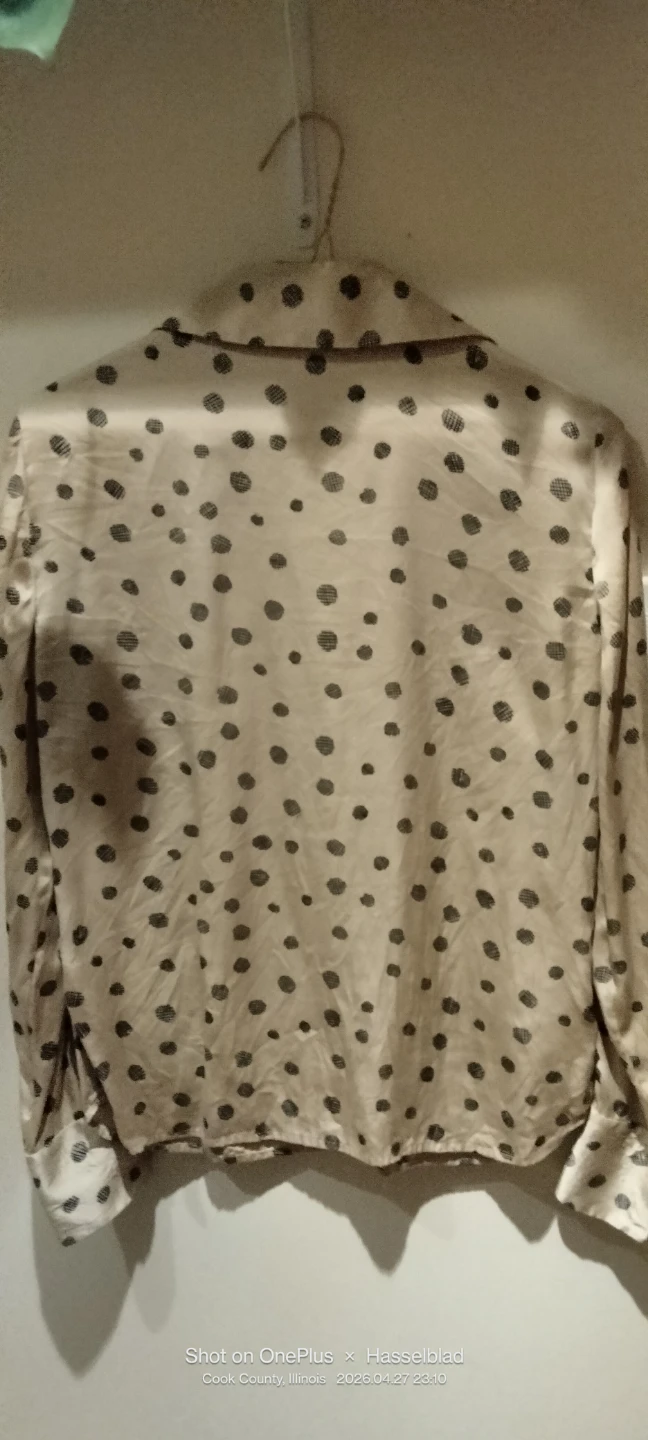 Rena Rowan Silk Button-Up Blouse Size 4 - photo 5