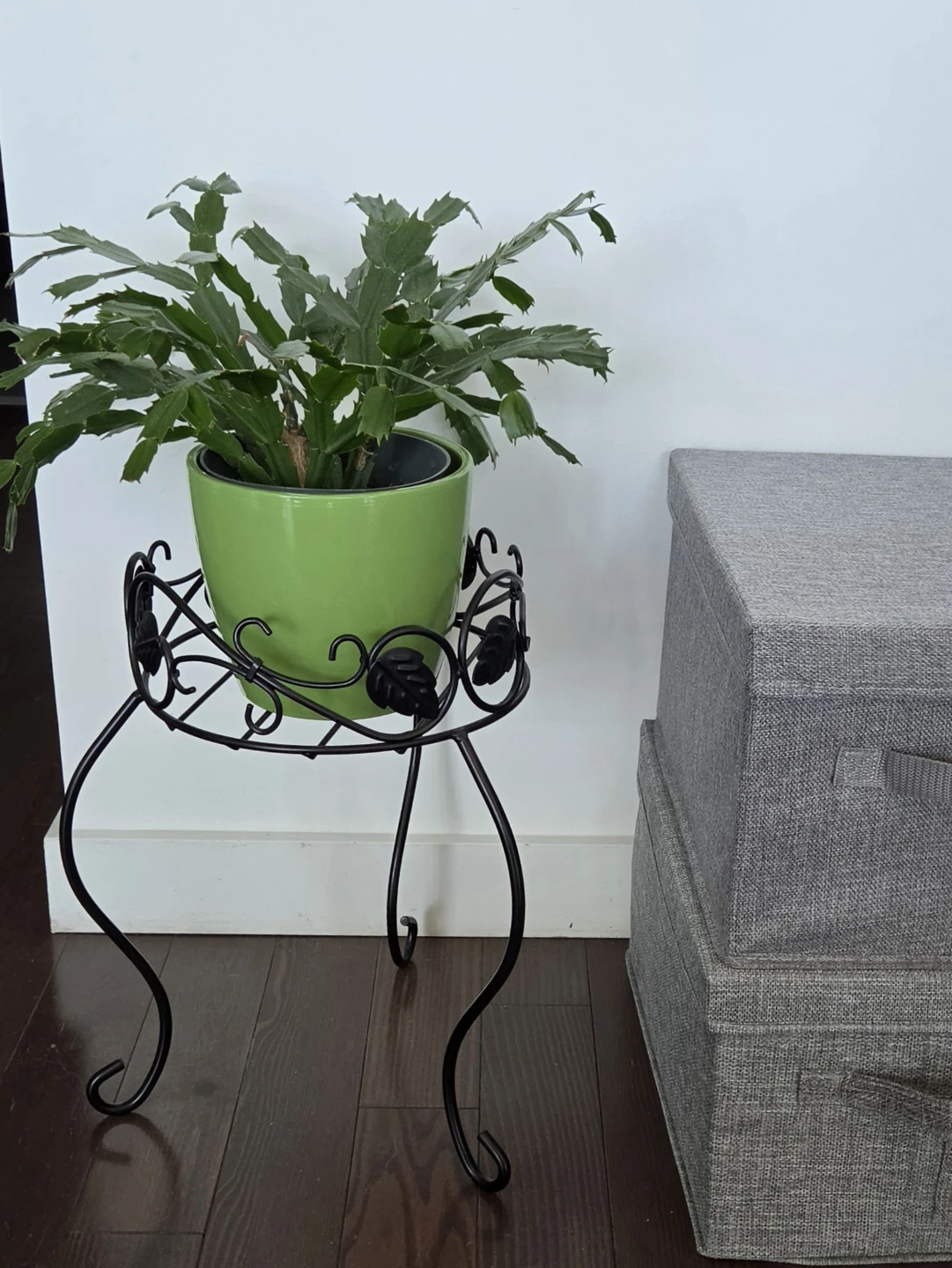 Round Black Metal Plant Stand