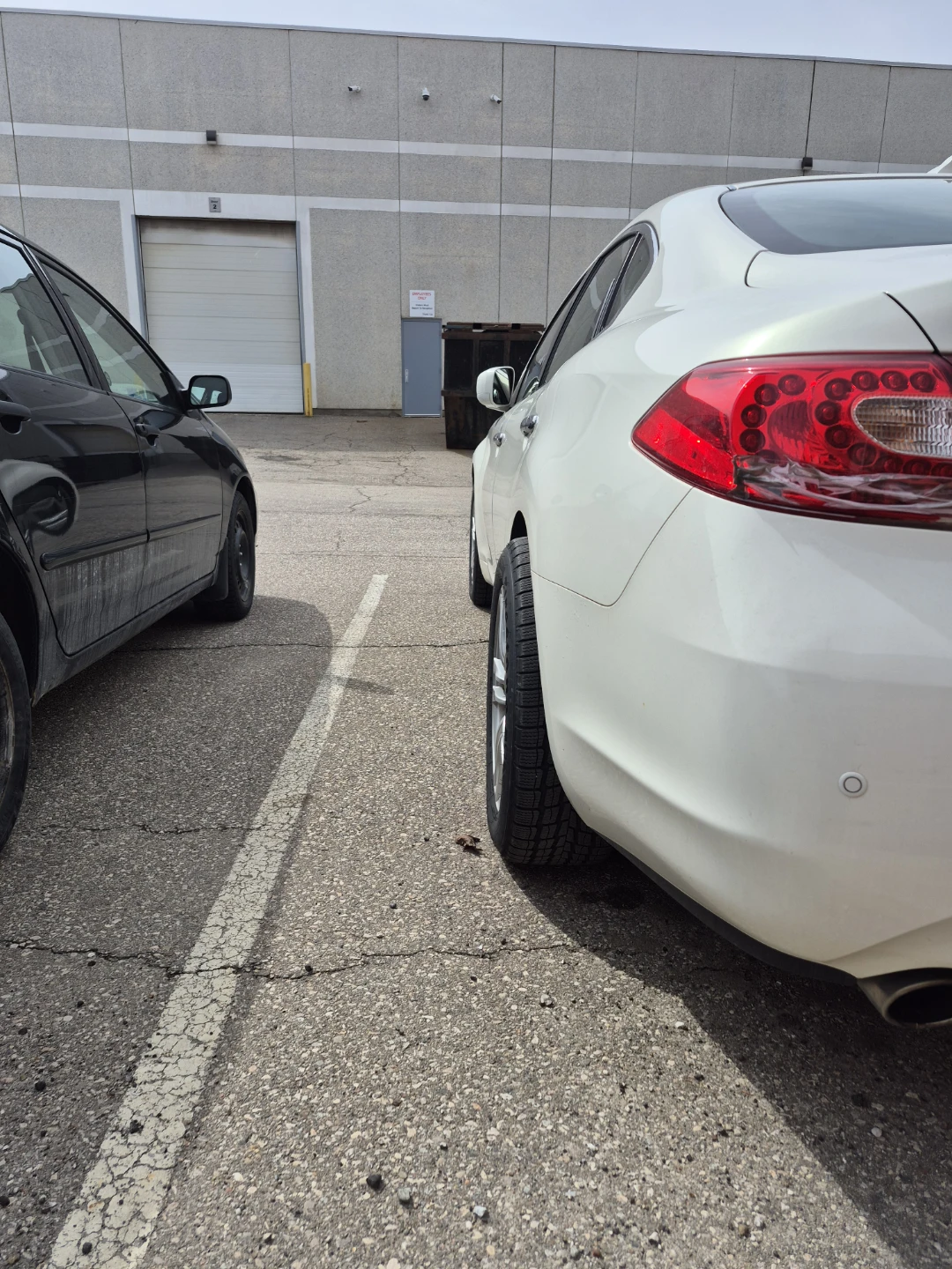 Mishimoto Wheel Spacers - photo 3