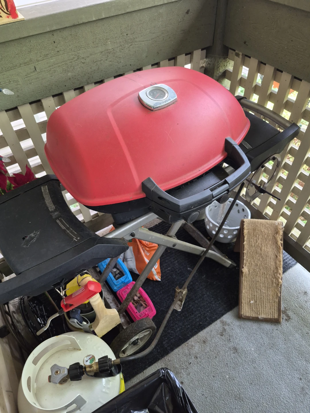 Weber Q Series Portable Propane Grill