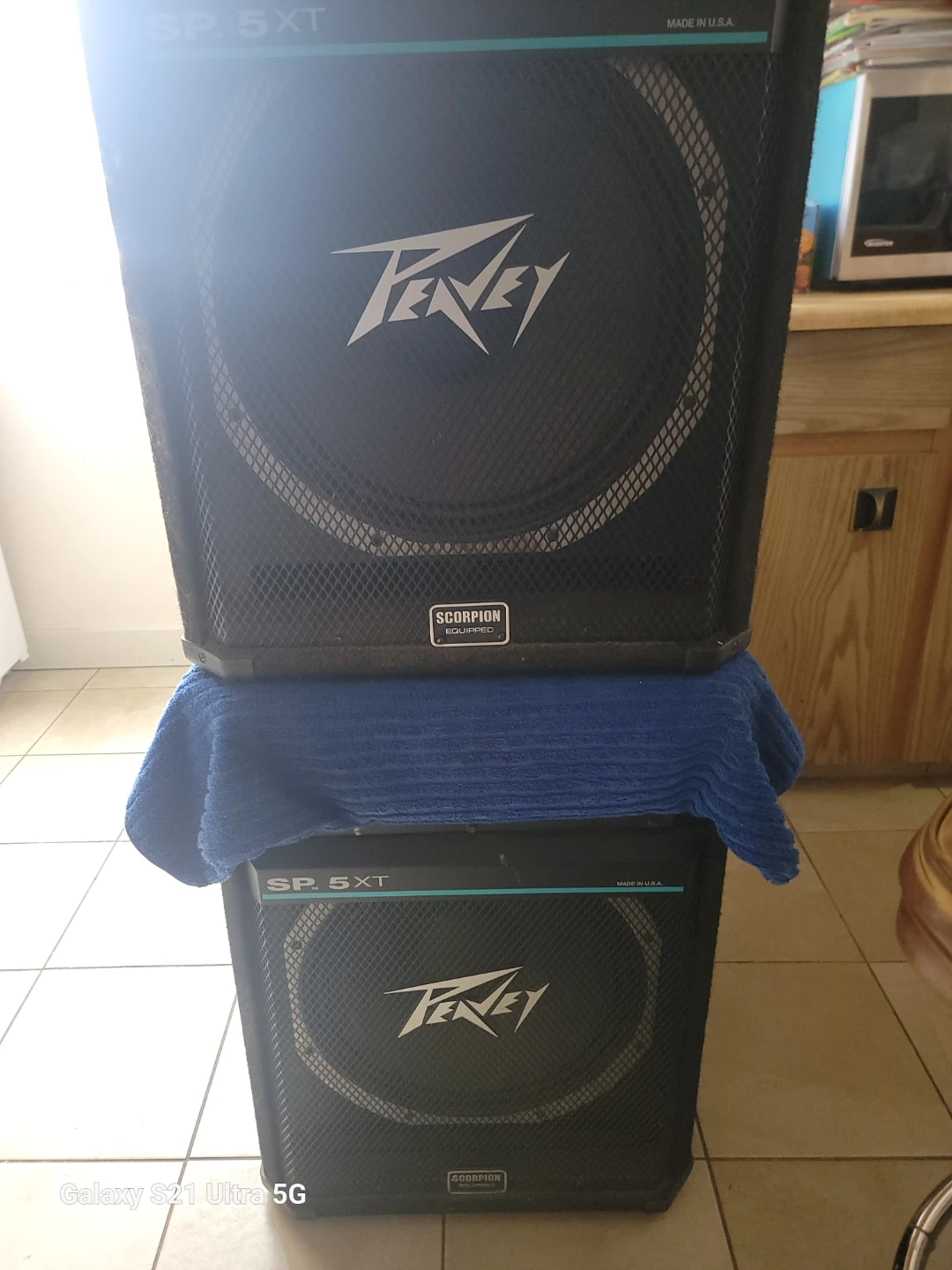 Peavey SP 5XT PA Speaker - photo 2