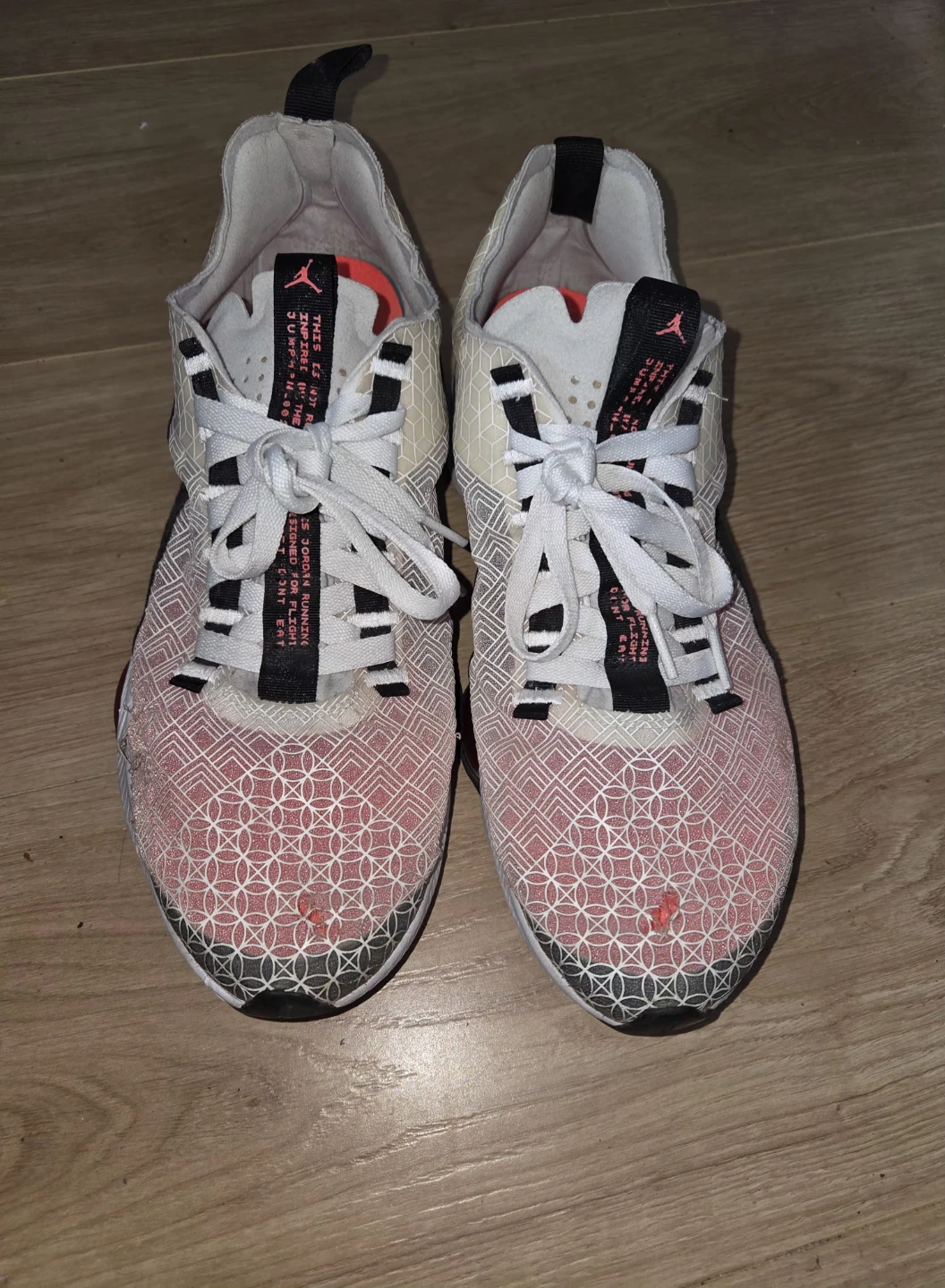 Jordan Air  Zoom Renegade Running Shoes