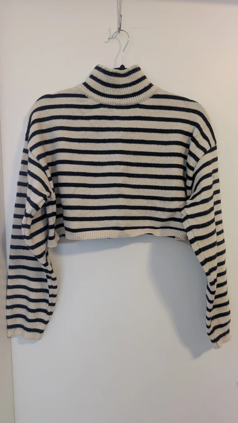 Cider Striped Mock Neck Cropped Sweater