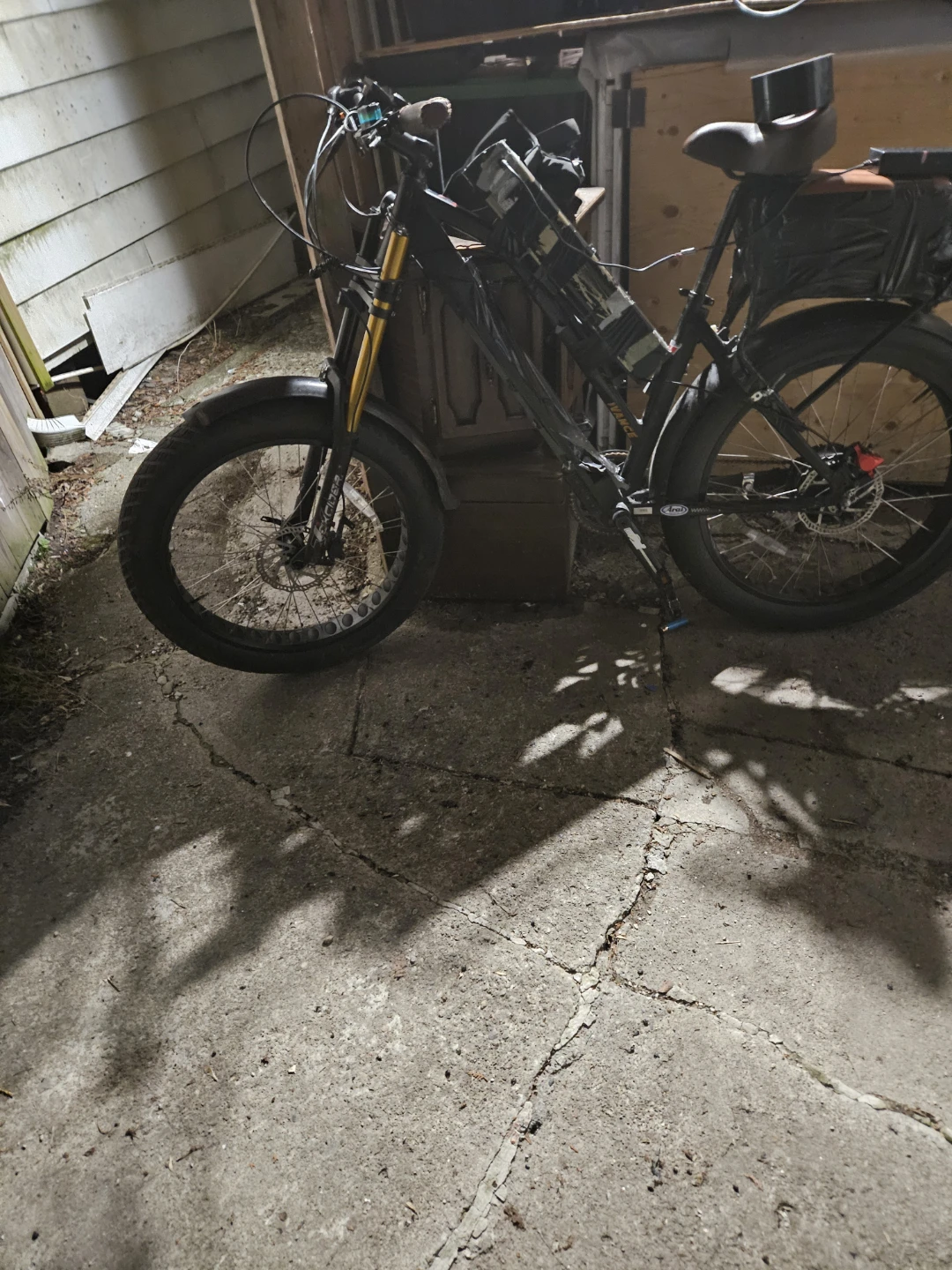 Dual fat tire ebike