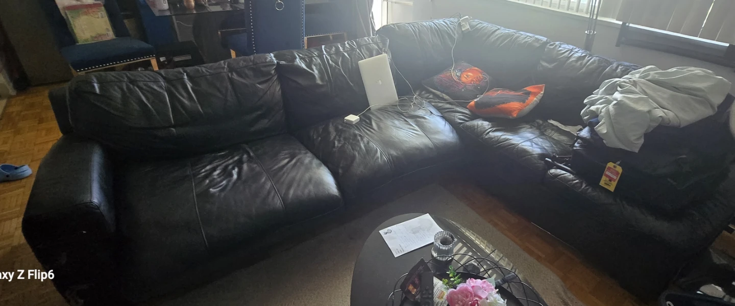 L shaped sectional sofa bed couch