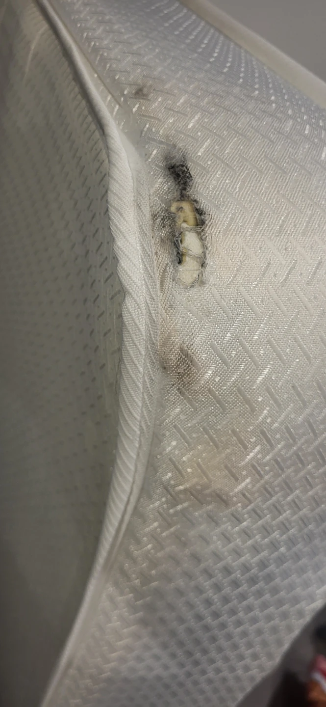 Queen Bed - photo 4