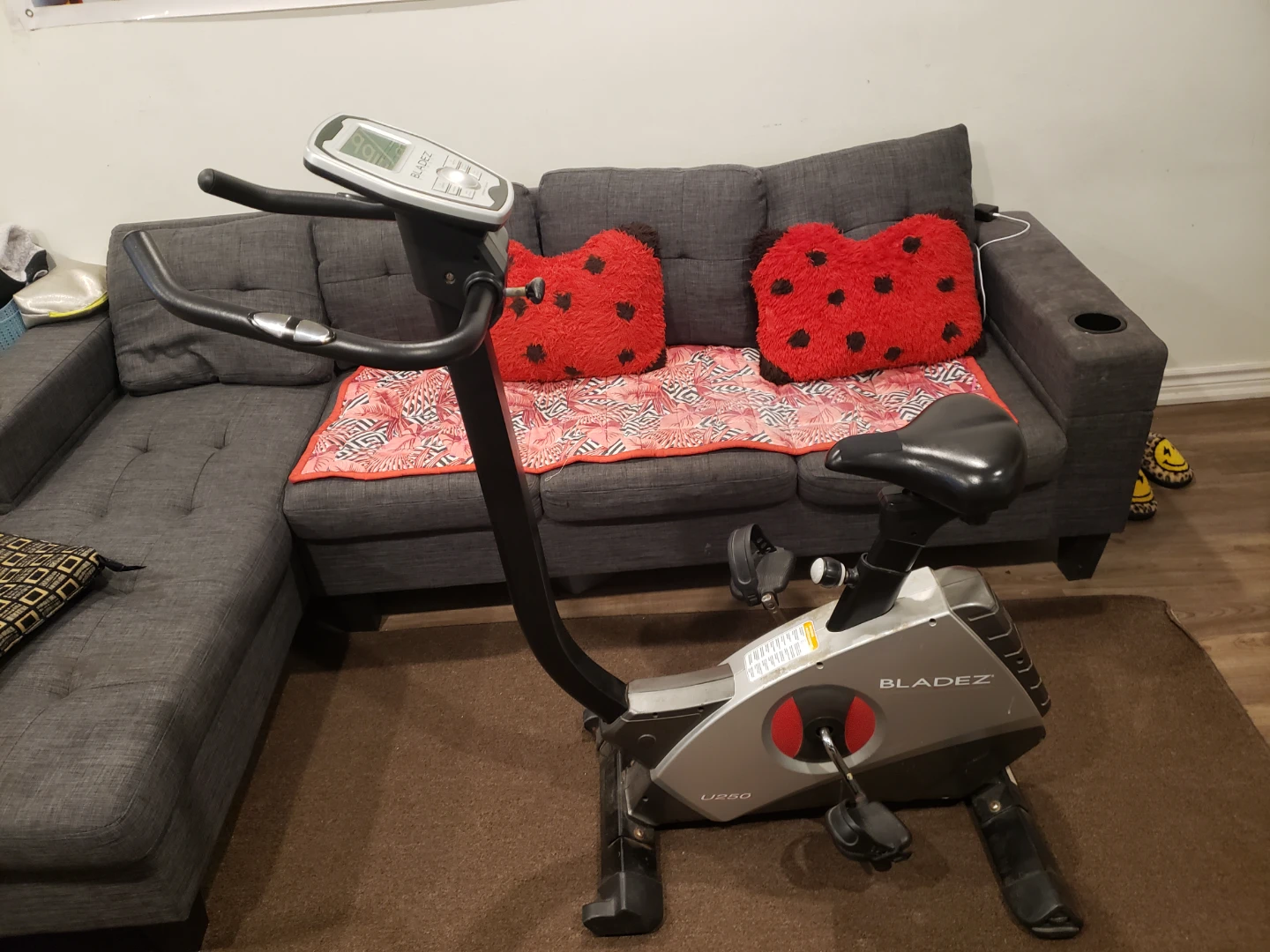 Bladez U250 Exercise Bike