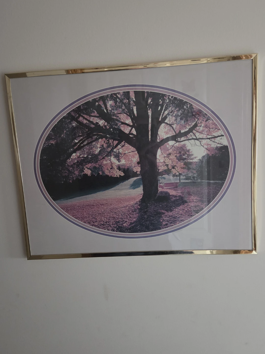 Framed Oval Print of a Tree with Fall Leaves - photo 2