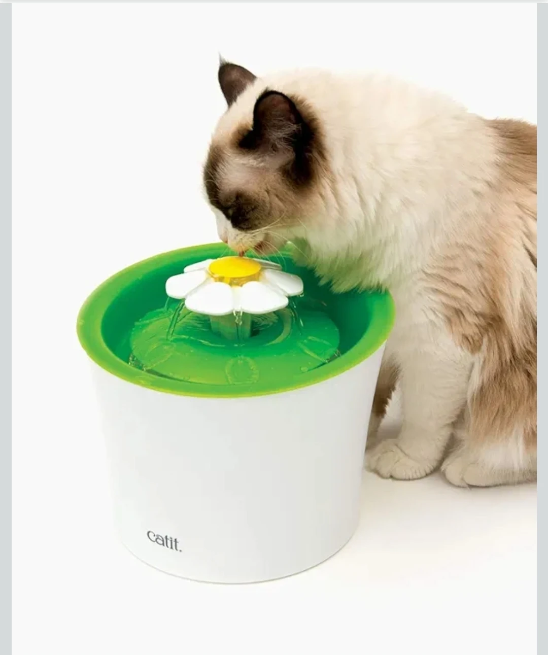 2.0 Cat Water Fountain - 3L 🌱 - photo 2