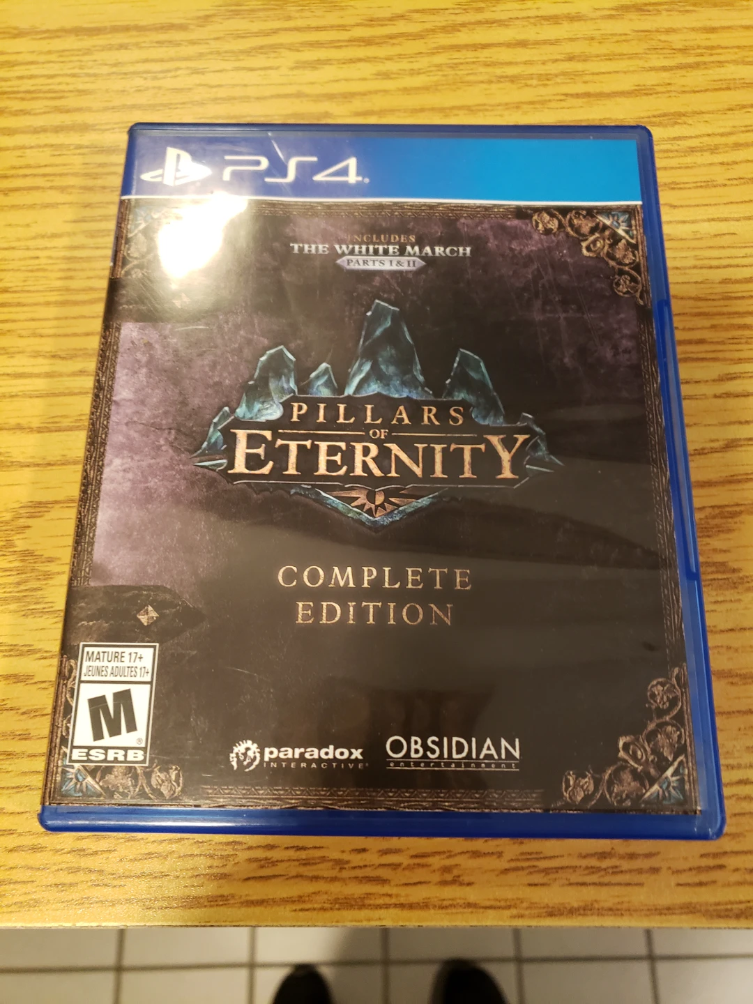 Pillars of Eternity Complete Edition PS4 Game