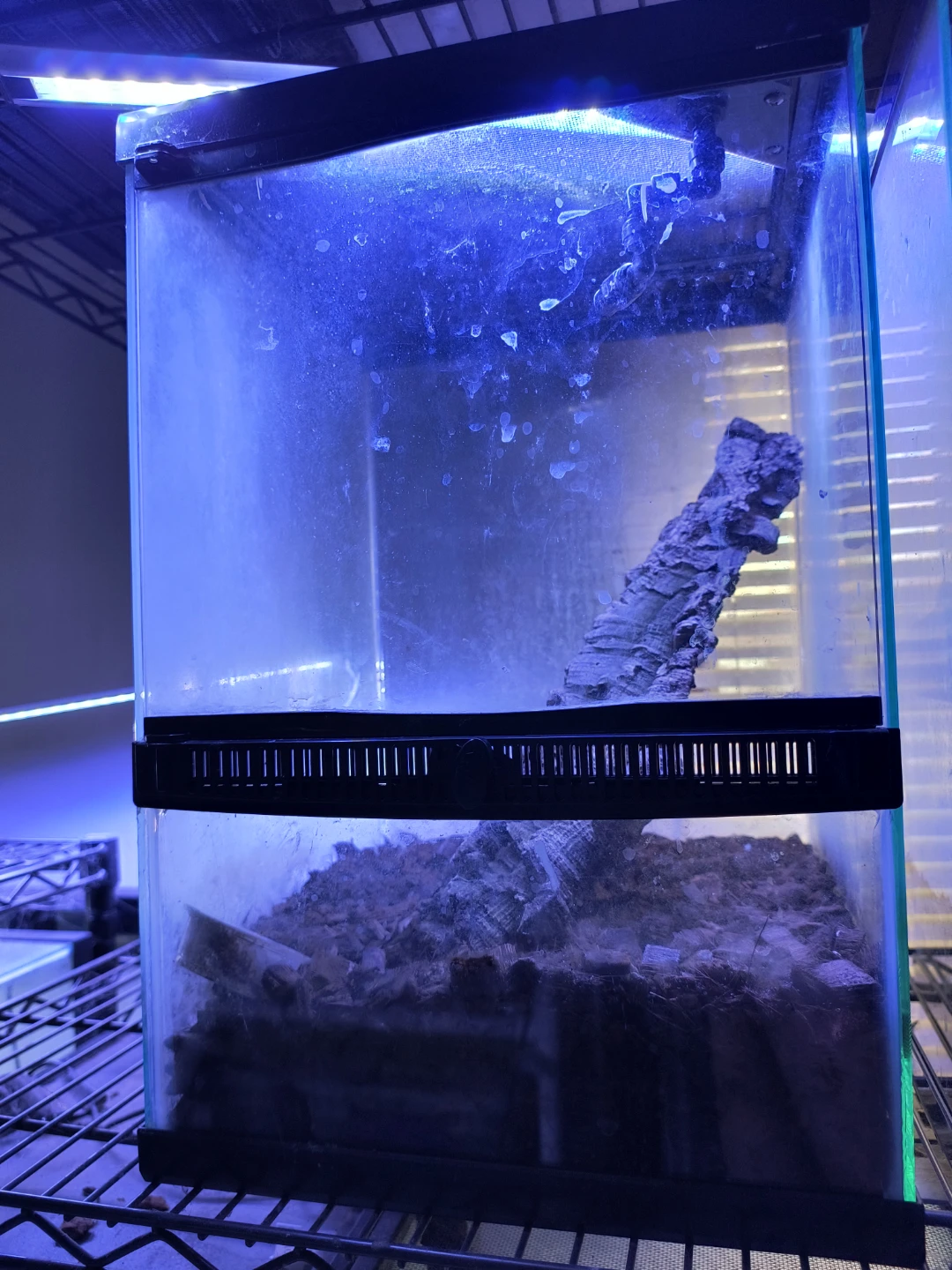 Terrarium / Vivarium Tank