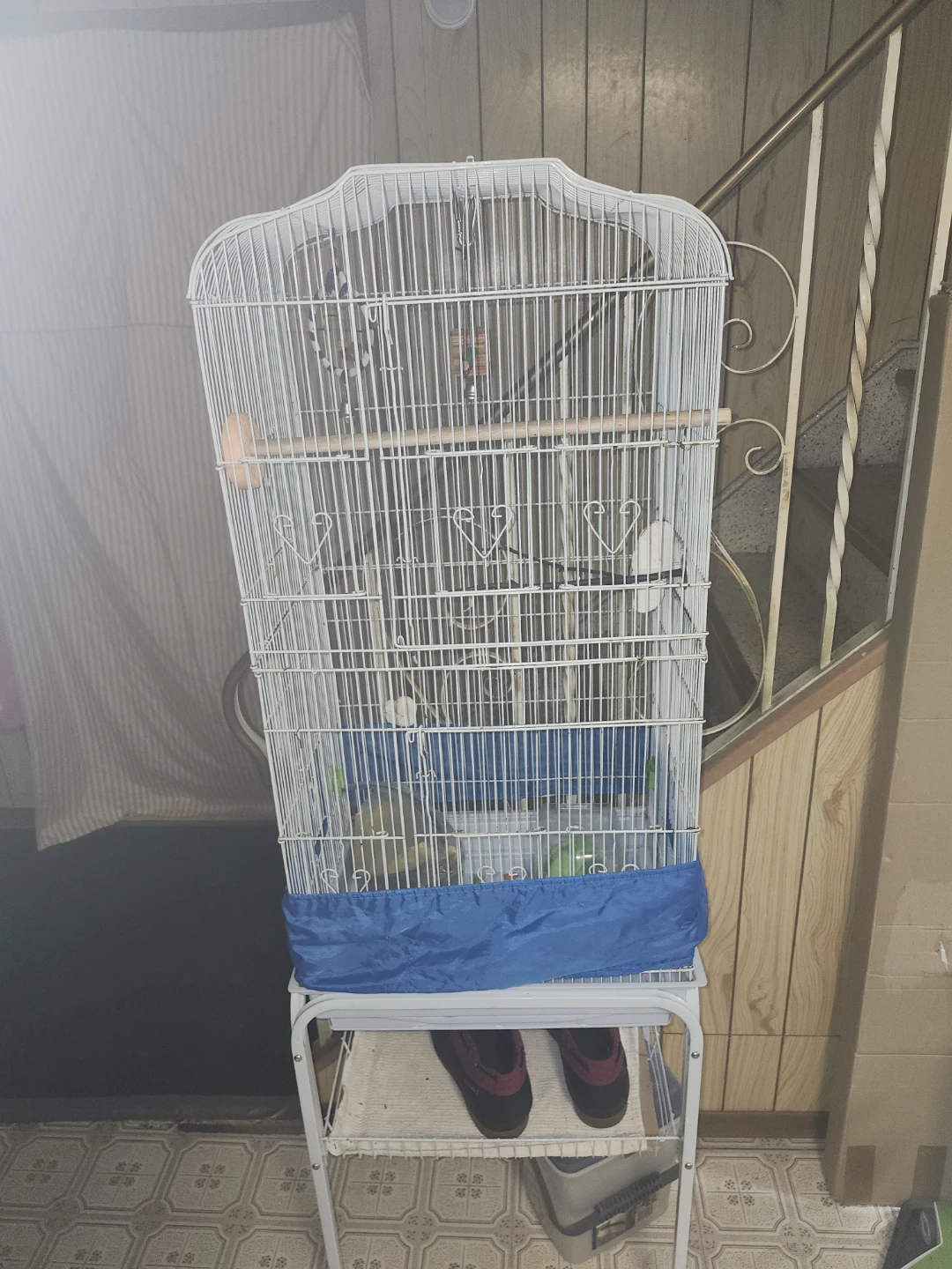 Bird cage
