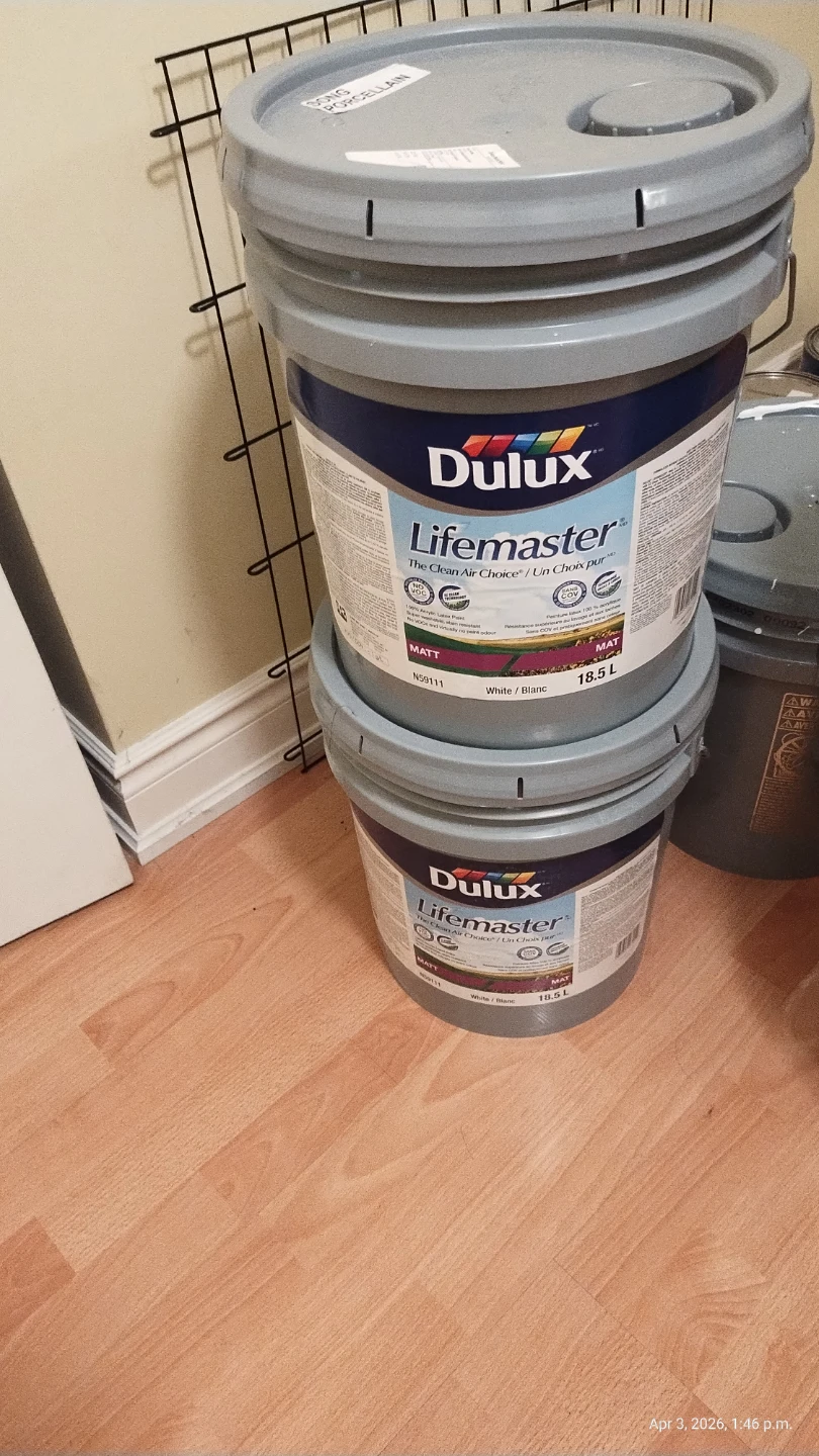 Dulux Lifemaster Matt White Paint - 18.5 L (2 Buckets)