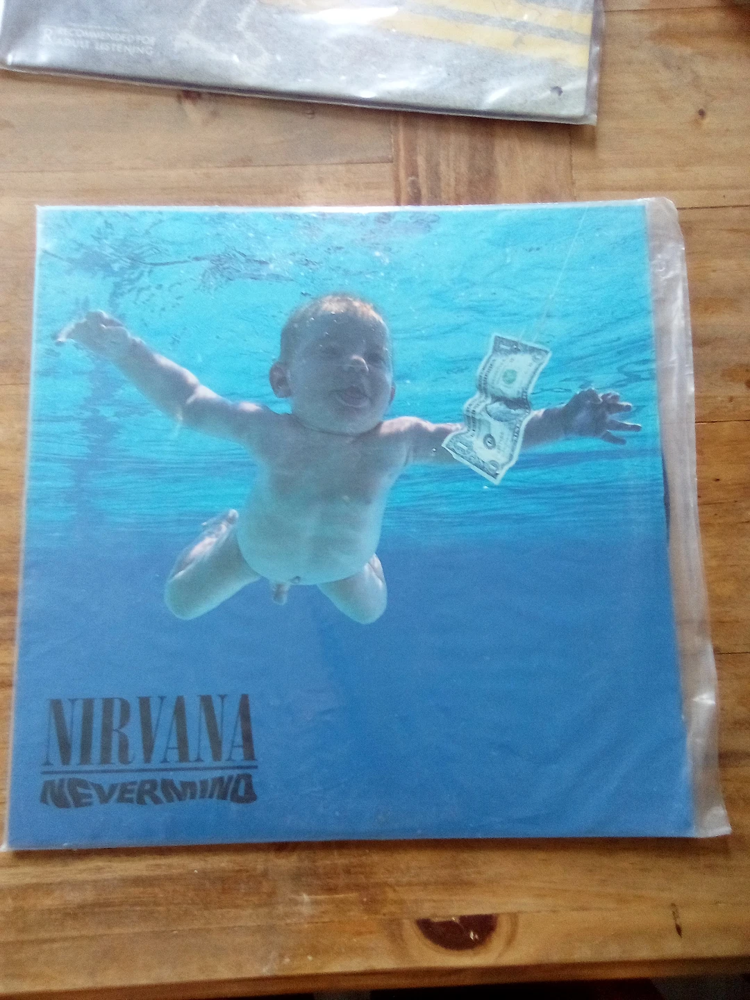 Nirvana Nevermind Vinyl Record