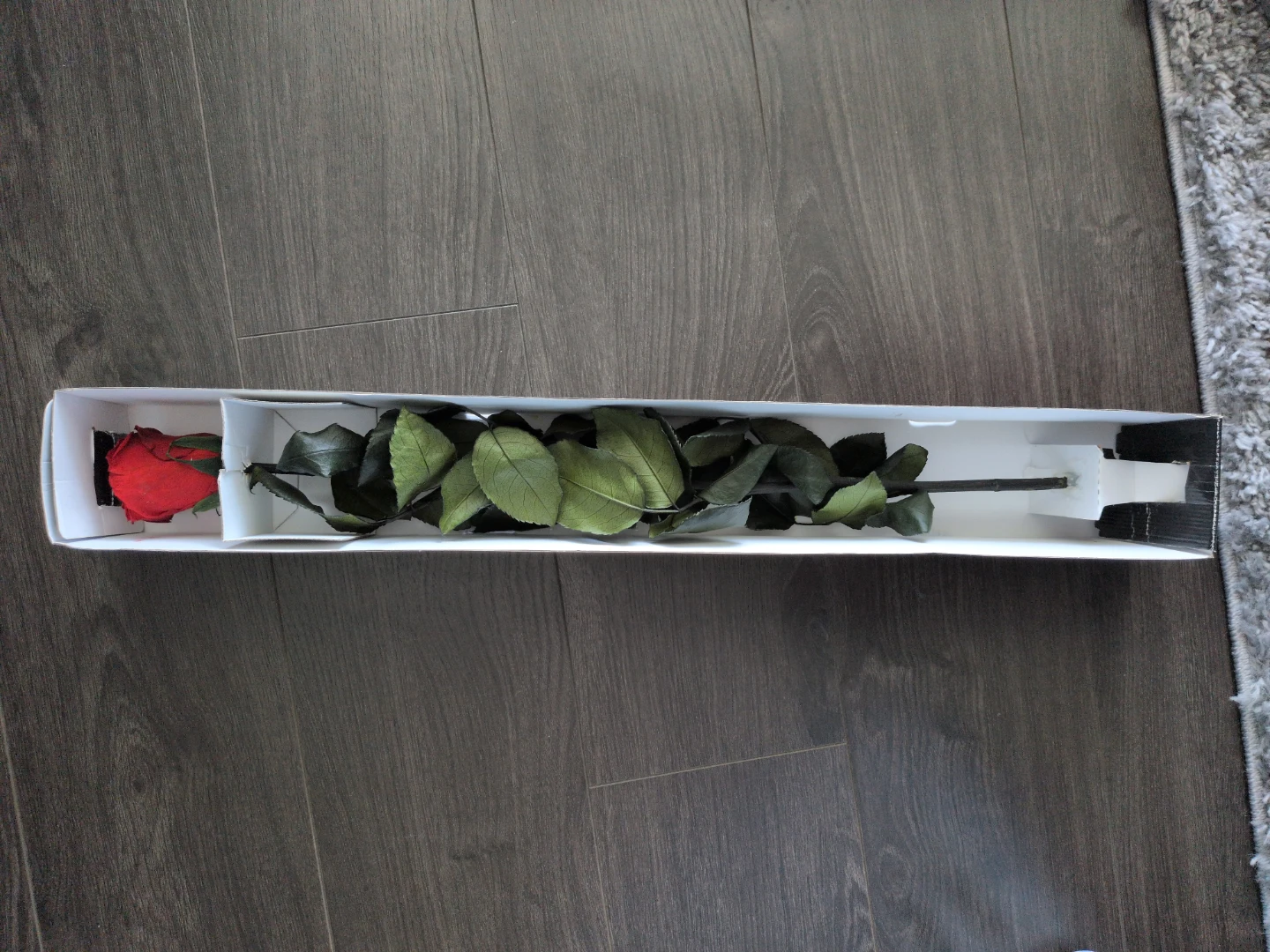 Rose Amor Preserved Red Rose - photo 2