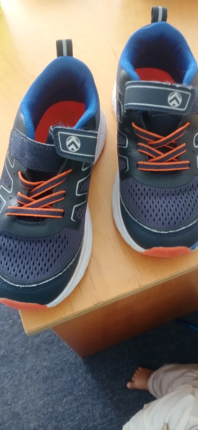 Banf Trail Sneakers
