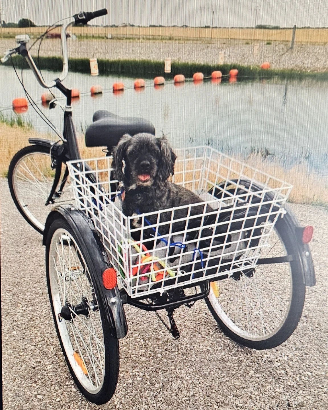 Black Tricycle with Basket - photo 3