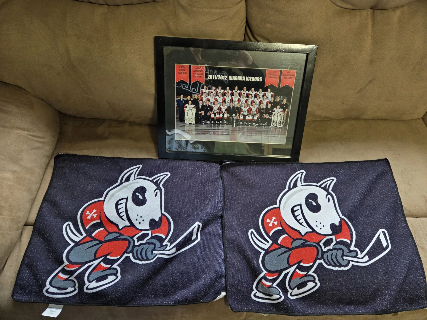 2011/2012 Framed Niagara Icedogs Team Photo & 2 Rally Towels