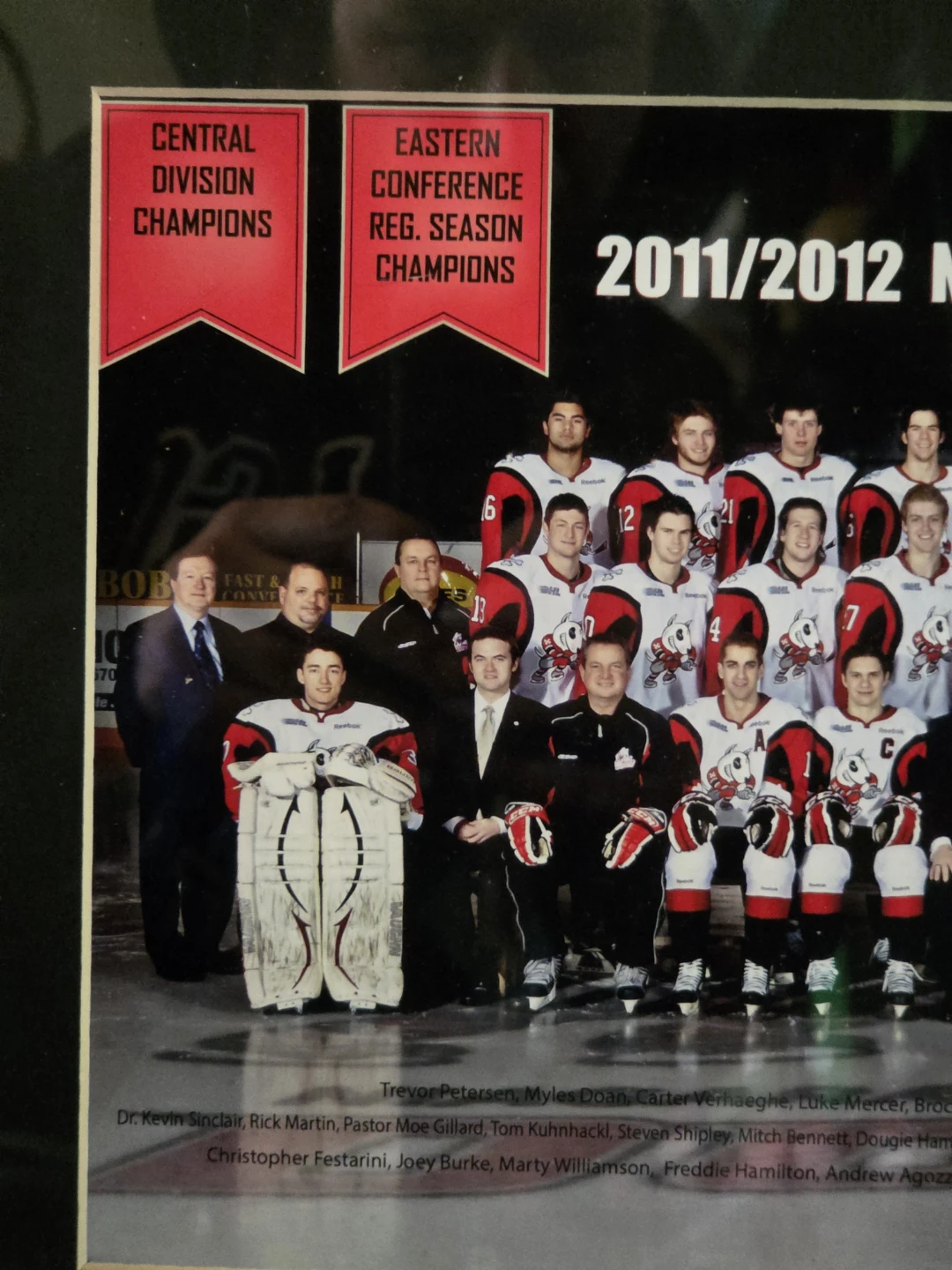 2011/2012 Framed Niagara Icedogs Team Photo & 2 Rally Towels - photo 3