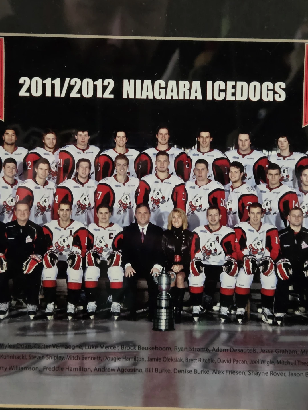 2011/2012 Framed Niagara Icedogs Team Photo & 2 Rally Towels - photo 4