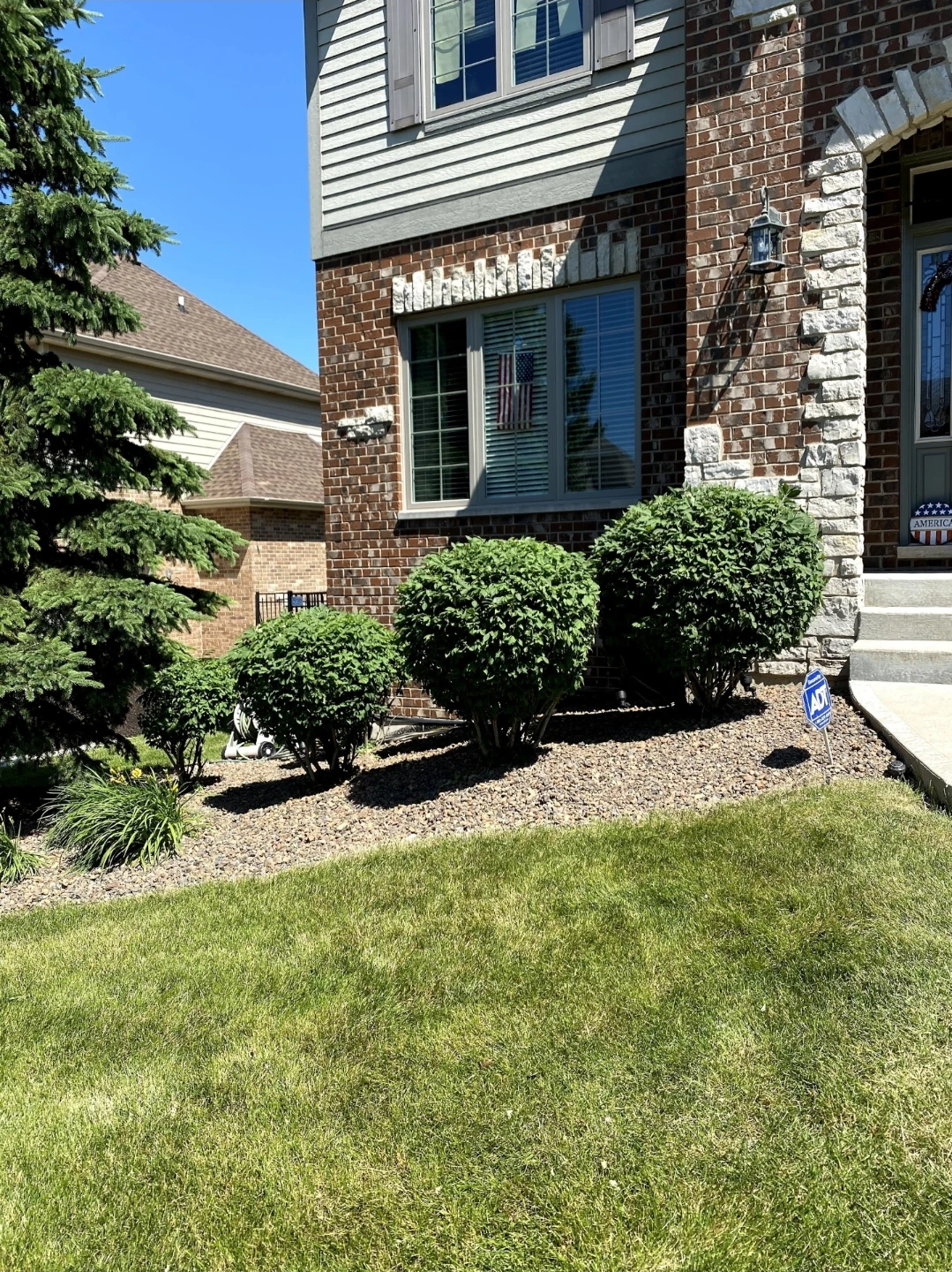 Tree trimming & pruning - photo 2