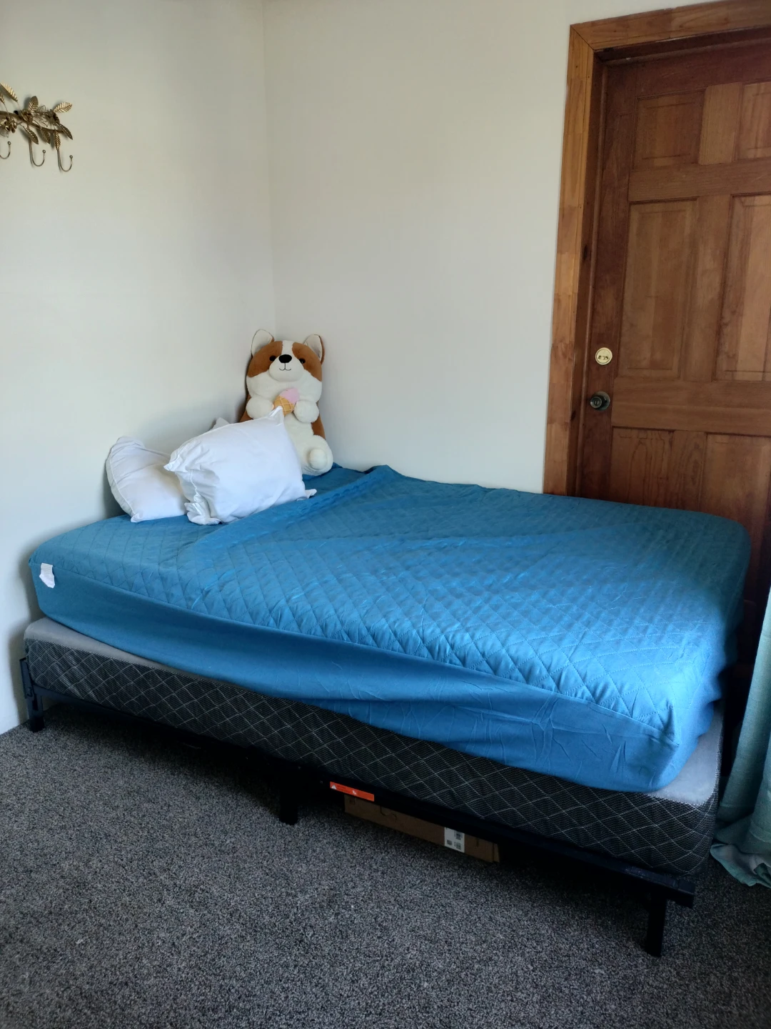 Twin Bed Frame and Mattress