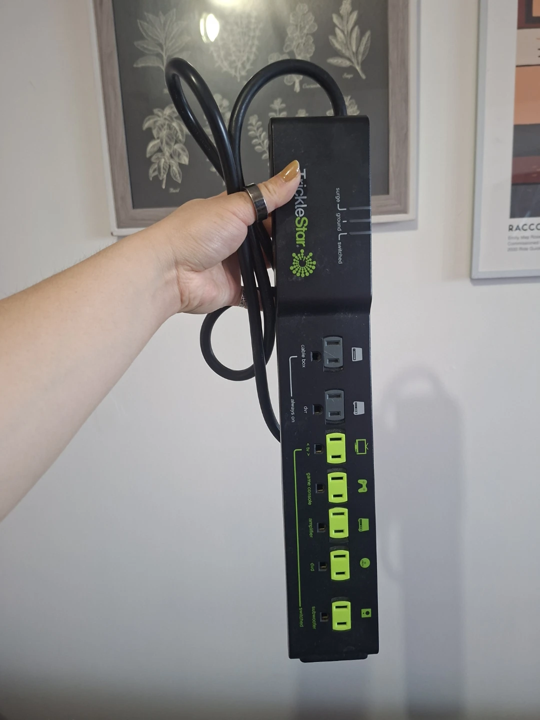 TrickleStar Switched Surge Protector Power Strip