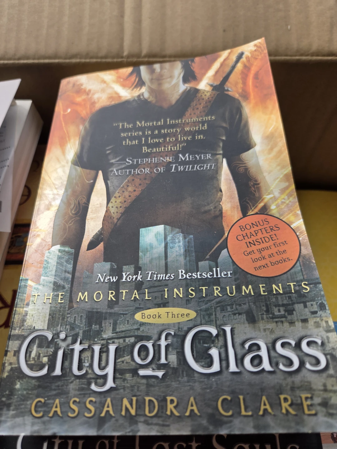 The Mortal Instruments series by Cassandra Clare - photo 3