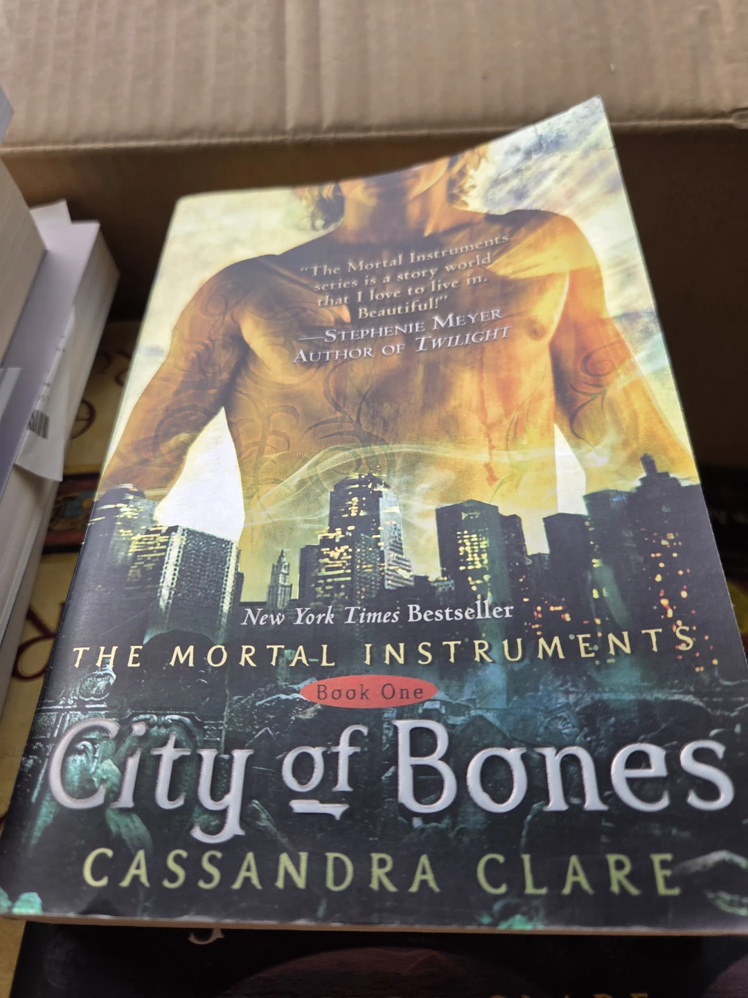The Mortal Instruments series by Cassandra Clare - photo 4