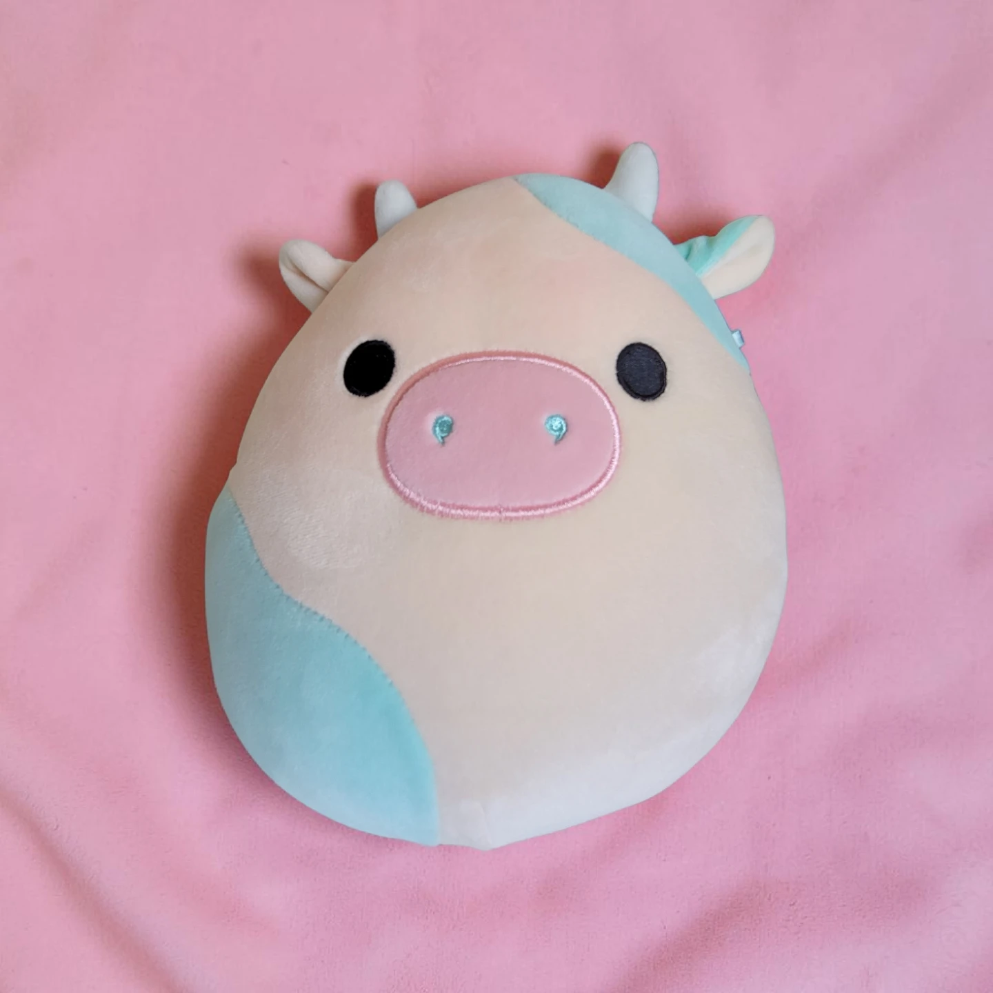 ♥️ Squishmallow Pig
