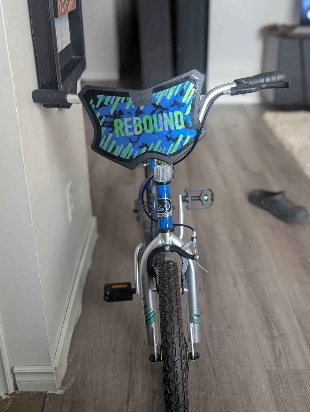 Rebound Kids Bike