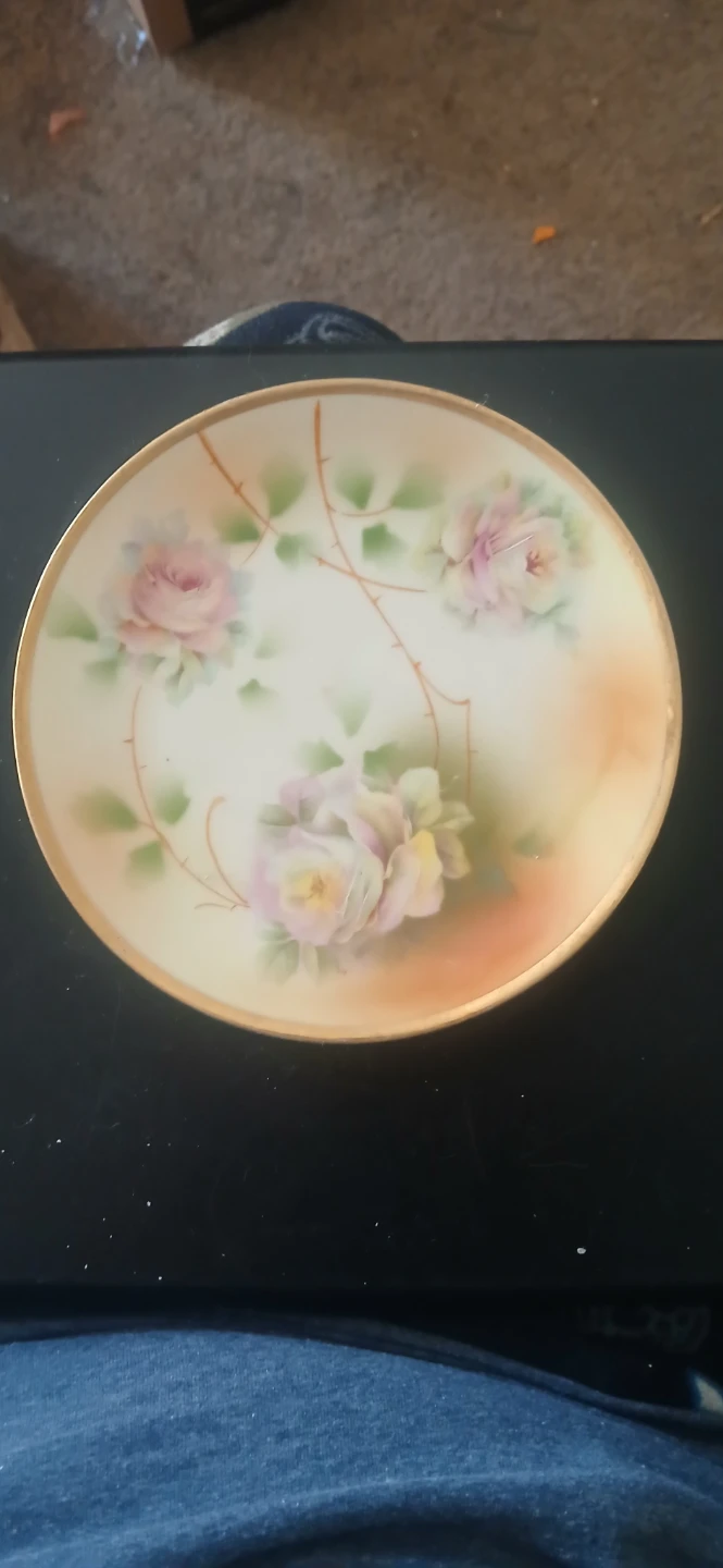 Royal Rudolstadt Hand Painted Rose Pattern Plate 🌱