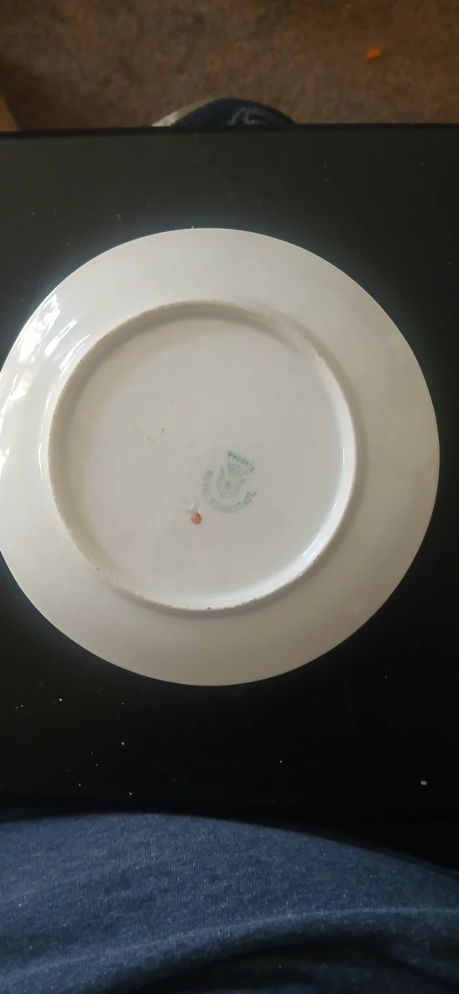 Royal Rudolstadt Hand Painted Rose Pattern Plate 🌱 - photo 3