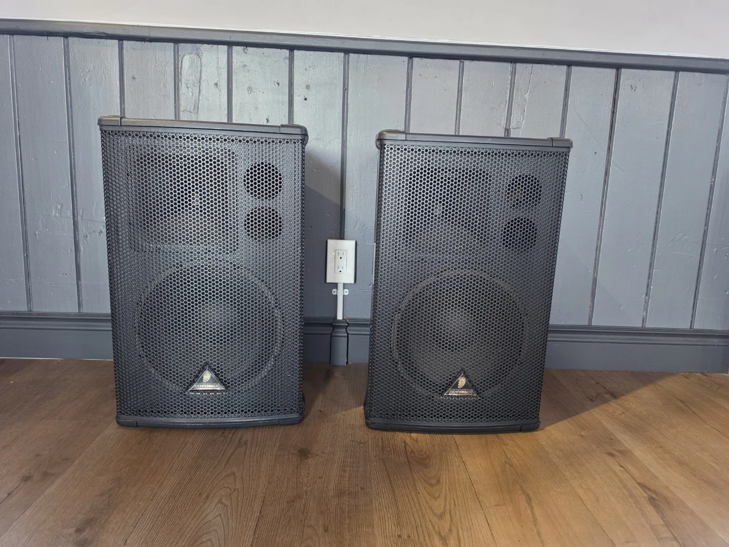 Behringer Eurolive B1220 Pro PA Loudspeaker/Floor Monitor