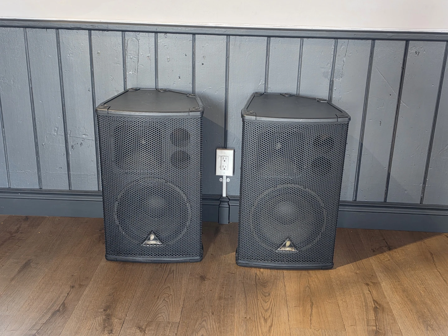 Behringer Eurolive B1220 Pro PA Loudspeaker/Floor Monitor - photo 2