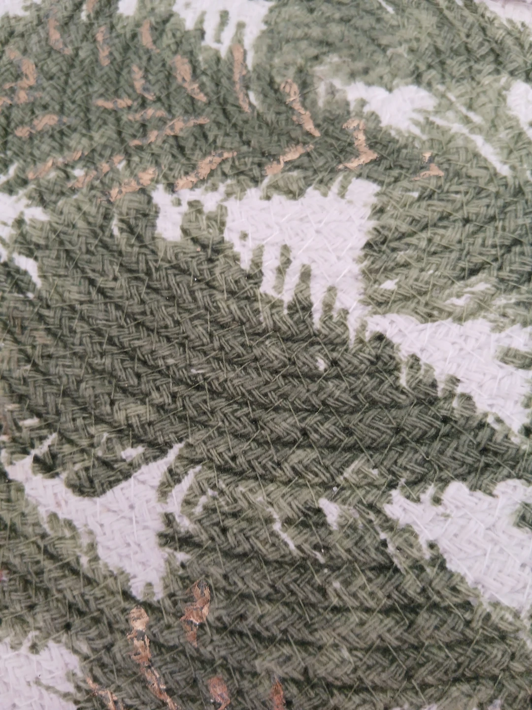Rachel Zoe Placemats Set of 4 - Green Fern Pattern - photo 2
