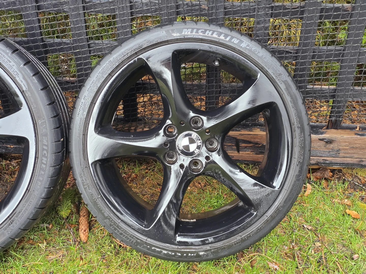 BMW 19" Style 230 POWDER COATED Michelin Pilot Sport 4S Tires - photo 3