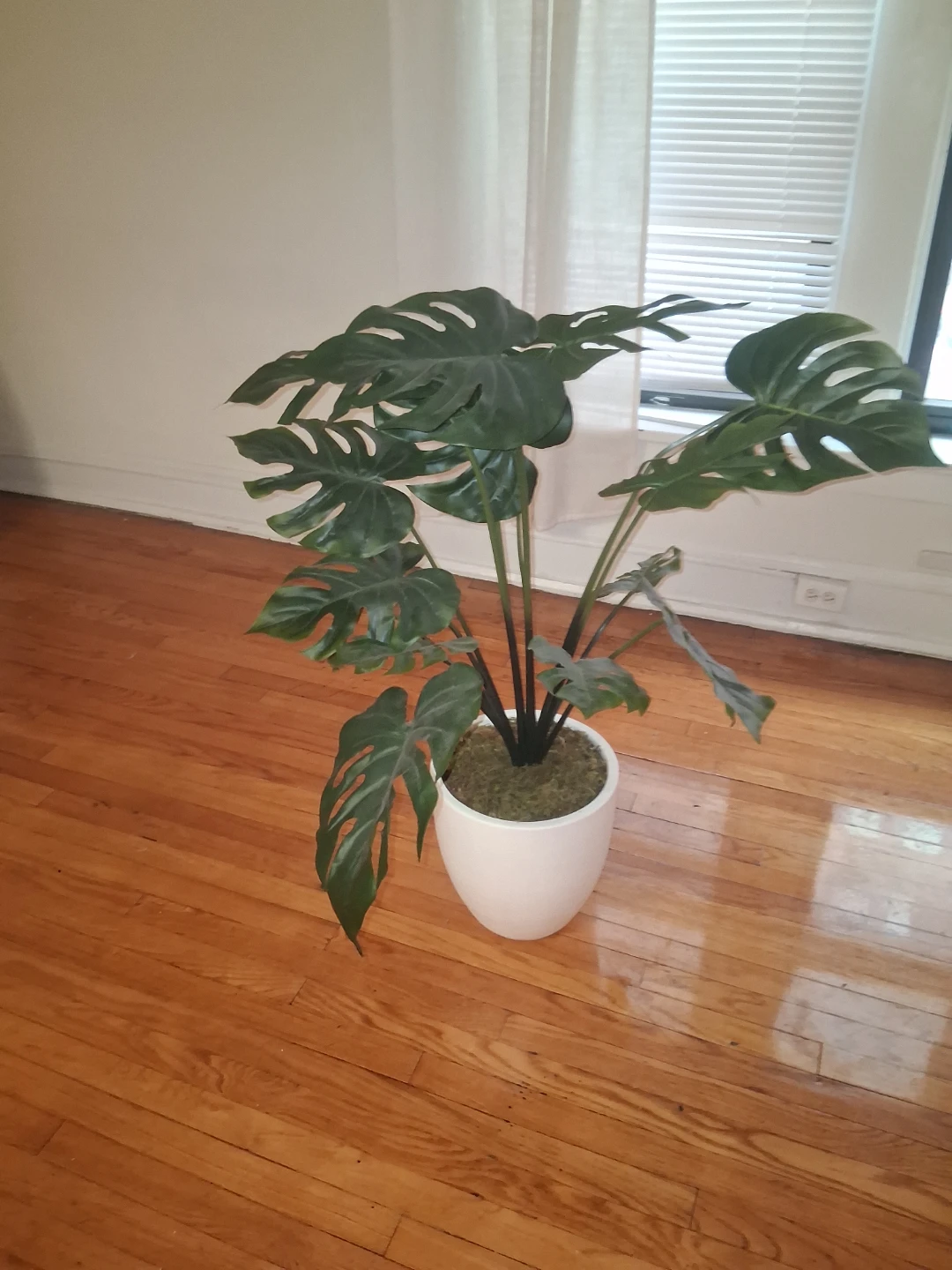 Artificial Monstera Plant in White Pot - photo 3