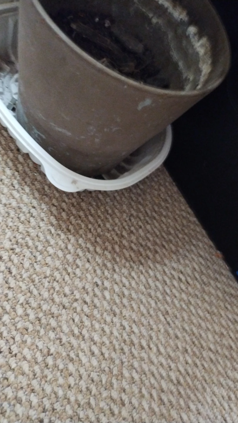 Brown plastic plant pot with saucer