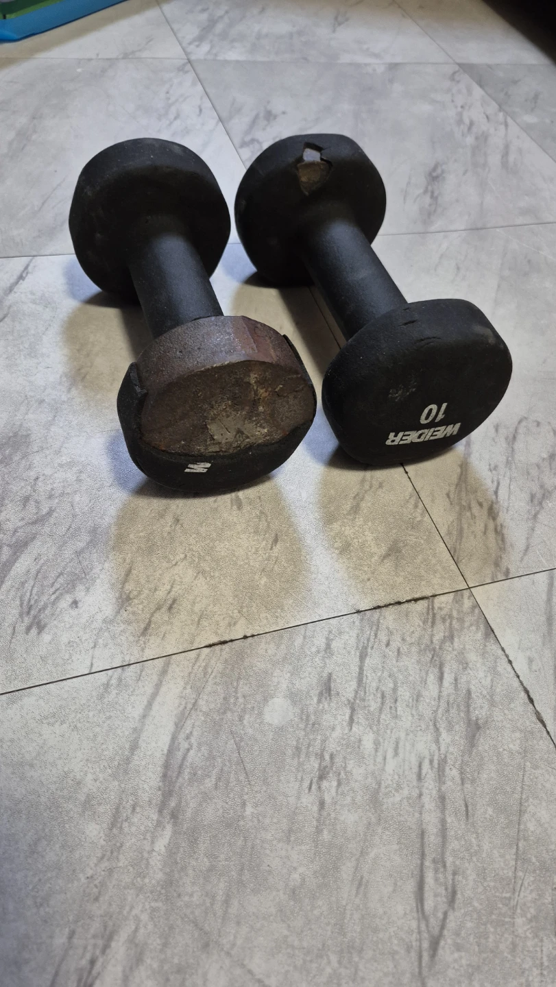 Weider 10 lb Dumbbells (Pair)